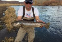 Fly-fishing Image of German brown shared by D.R. Brown | Fly dreamers