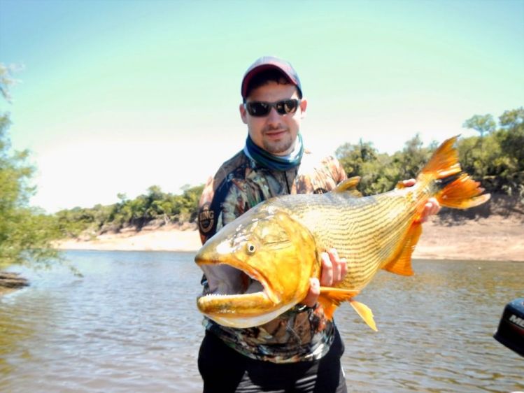 La pieza mayor del finde en el campamento de Arapey Fly Fishing. Con los amigos brasileños.