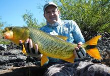  Fotografía de Pesca con Mosca de Golden dorado compartida por Gianni Juncal | Fly dreamers