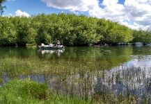  Trucha arcoiris – Situación de Pesca con Mosca – Por Gerardo Alberto Pèrez