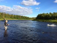 Fly fishing picture