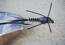 Fly-tying for Rainbow trout - Picture shared by Pablo Bianchini | Fly dreamers