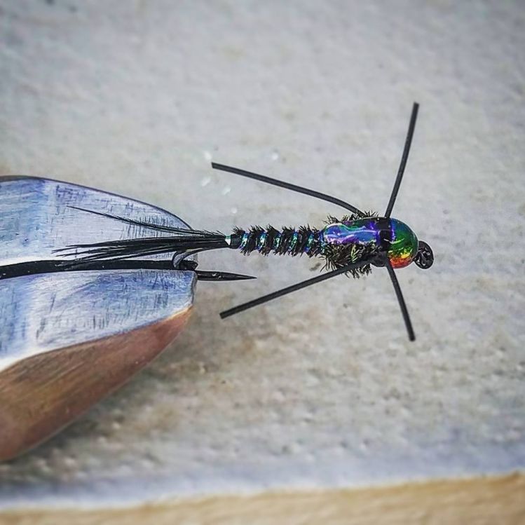 Bead head pheasant tail