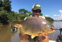  Captura de Pesca con Mosca de Pacú por Lucas De Zan | Fly dreamers