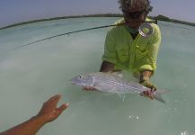 Chris Horgan 's Fly-fishing Photo of a Bonefish | Fly dreamers 