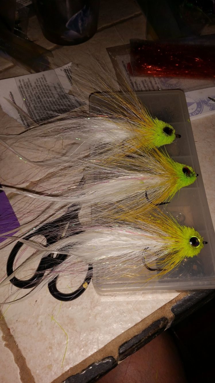 My fly for the big jacks this year...8-10" Hollows with spun heads...great action and fun to tie..tight lines everybody. ..