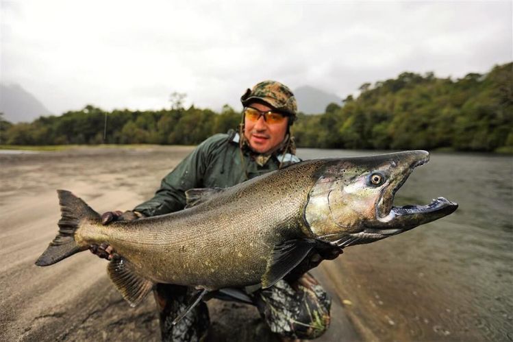 Awesome Chinook !!! Patagonia - Chile

This season was spectacular, make your reservation and secure your place for 2019

ocellusfishing@outlook.com