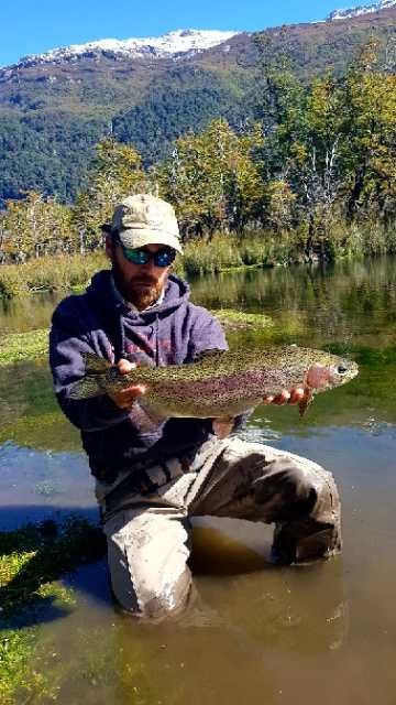 Trucha arco iris del spring creek del Rivadavia, ON Los Alerces, Chubut