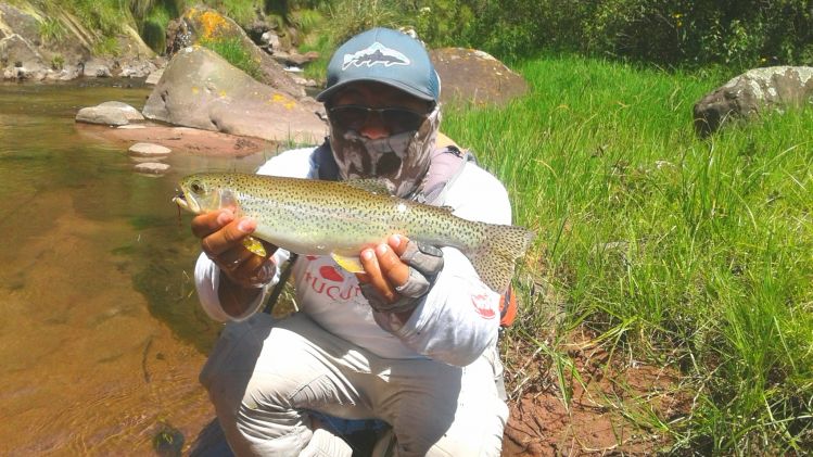 Fly Fishing Guachipas Salta