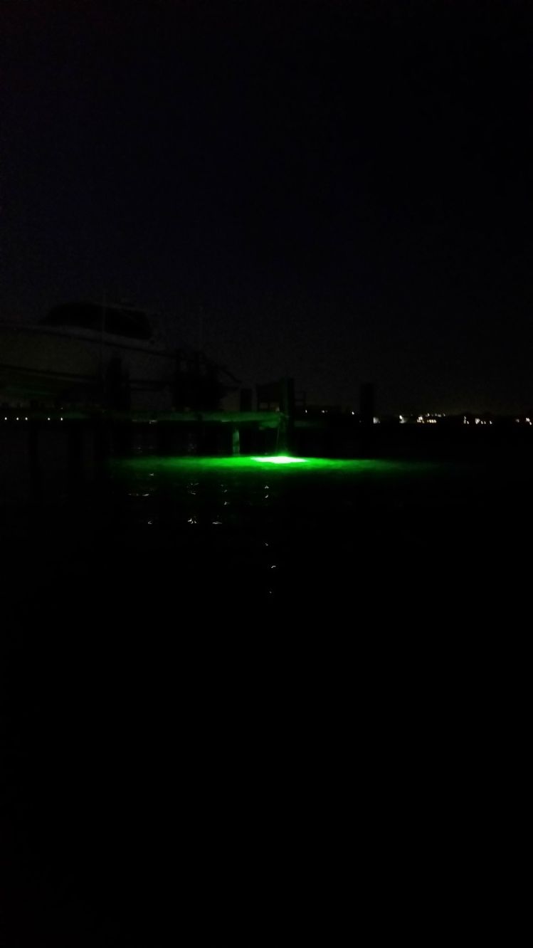 New obession. ..wading the lights at night near home...love it.. 3 for 5 on snook early morn.. had beast wear through my 20lb shock on the 5wt..way over slot.....