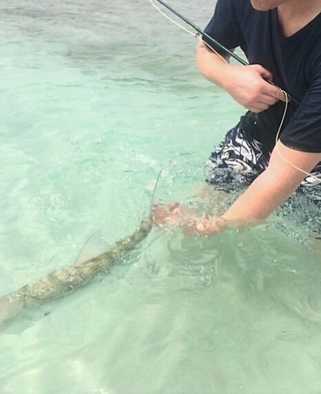 Another successful bonefish release in Barbados.