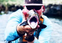  Imagen de Pesca con Mosca de Native trout compartida por Mike Campbell | Fly dreamers