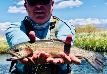  Imagen de Pesca con Mosca de Trucha arcoiris compartida por Mike Campbell | Fly dreamers