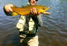  Pesca con Mosca de Salmo trutta en Ontario, Canada | Fly dreamers