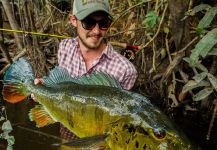  Captura de Pesca con Mosca de Tucunare - Pavón por Fergus Kelley | Fly dreamers