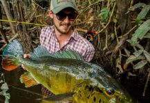 Fergus Kelley 's Fly-fishing Catch of a Peacock Bass | Fly dreamers 
