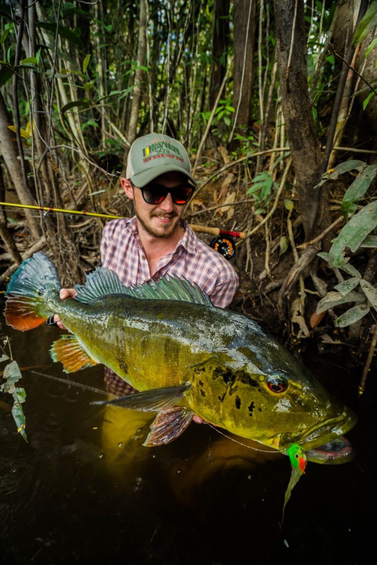 Peacock Bass, Colombia