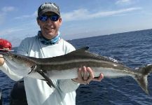 David Bullard 's Fly-fishing Picture of a Cobia | Fly dreamers 