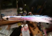 David Bullard 's Fly for False Albacore - Little Tunny - Picture | Fly dreamers 