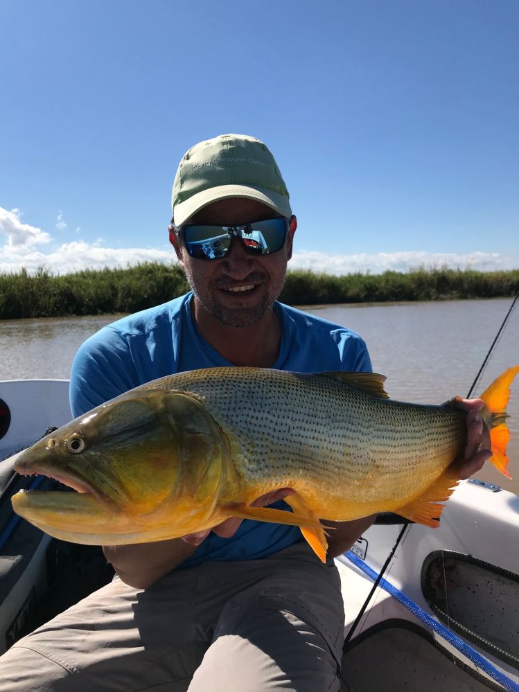 Pescado con linea intermedia y streamer con cabeza madler