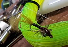 Fabian  Espinoza Instructor De Atado  's Fly-tying for brown trout - Photo | Fly dreamers 
