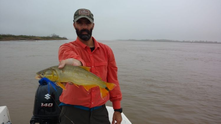 Aprovechando la tarde del Domingo para mover algunos juveniles dorados! 