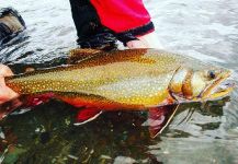  Fotografía de Pesca con Mosca de speckled trout por Mymflycast Mundiñano | Fly dreamers