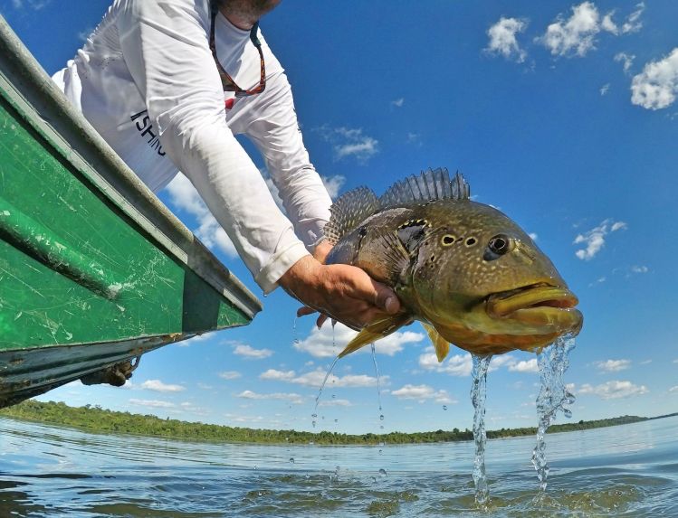 Great fishing in the Tapajos River, Amazonia Brazil