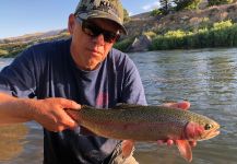  Fotografía de Pesca con Mosca de Trucha arcoiris por D.R. Brown | Fly dreamers 