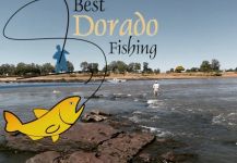  Dorado – Genial Situación de Pesca con Mosca – Por Gianni Juncal