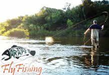 Tiger of the River Fly-fishing Situation – Gianni Juncal shared this Great Image in Fly dreamers 