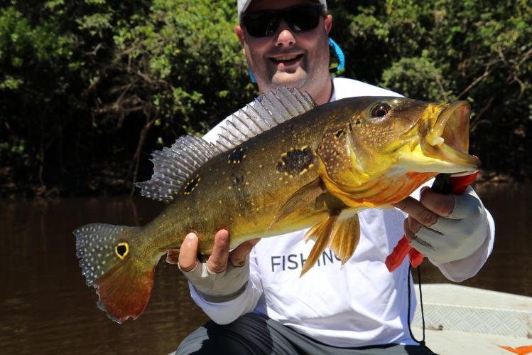 Tucunaré del río Tapajos. Agenda abierta para 2019

info@ocellusfishing.com