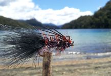 Julian Ballarino 's Nice Fly-tying Image | Fly dreamers 