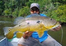 Fly-fishing Situation of Peacock Bass - Picture shared by JUAN Winchester | Fly dreamers