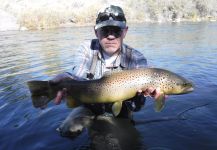 D.R. Brown 's Fly-fishing Image of a European brown trout | Fly dreamers 