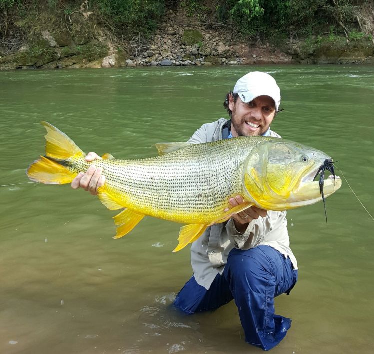 Oro boliviano 