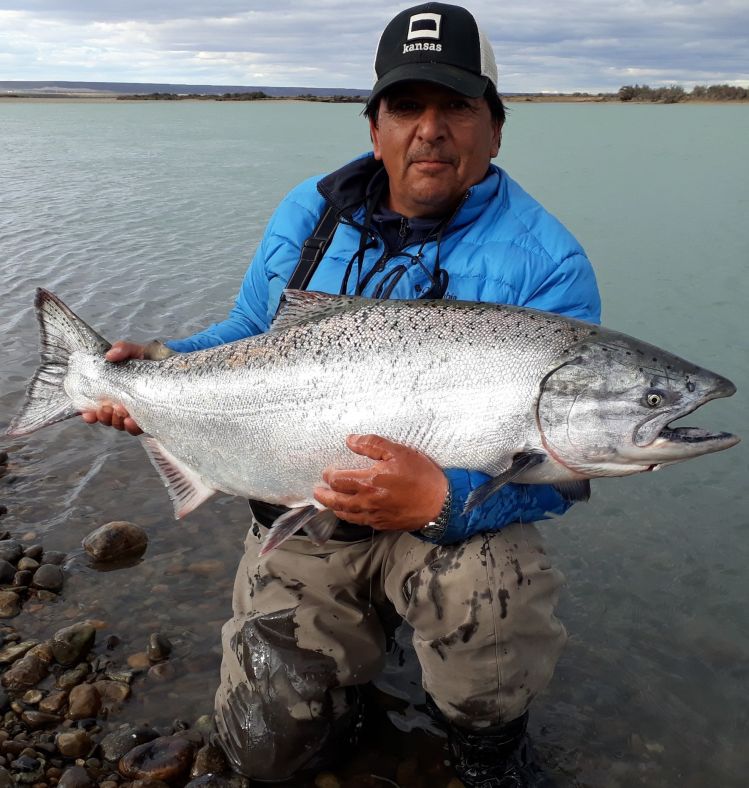 Mi Mejor Captura de Chinook. en su Ingreso al Rio Santa Cruz., Octubre 2018 
equipo spinning. 