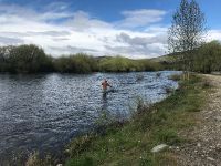 Foto de pesca con mosca