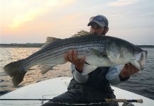 Fly-fishing Situation of Striped Bass shared by Vincent Catalano 