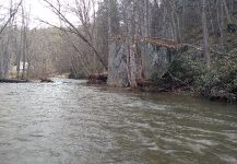 Helton Creek, Boone, North Carolina, United States