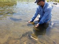 Foto de pesca con mosca