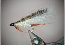 Marcelo Ziegler 's Fly for Browns - | Fly dreamers 