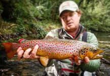 Massimo Sodi 's Fly-fishing Photo of a Browns | Fly dreamers 