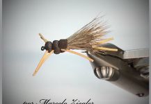 Fly for Rainbow trout shared by Marcelo Ziegler | Fly dreamers 
