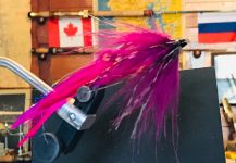 Maki Caenis 's Fly-tying for Rainbow trout - Photo | Fly dreamers 