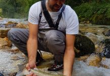 Impressive Fly-fishing Situation of Rainbow trout - Image shared by Uros Kristan - URKO Fishing Adventures | Fly dreamers