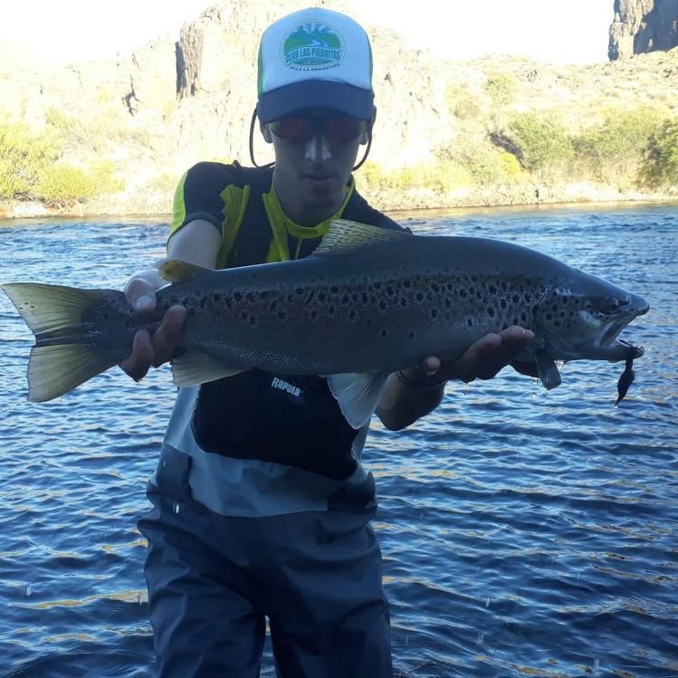 Limay superior ,  buscando  las marrones 