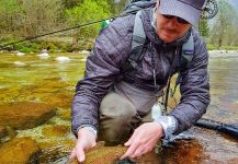 Rainbow trout Fly-fishing Situation – Uros Kristan - URKO Fishing Adventures shared this Cool Image in Fly dreamers 