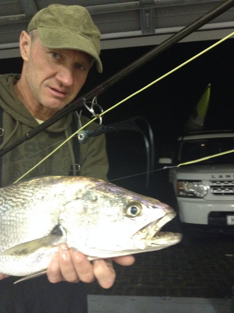 Cob from  Kromme River in St Francis Bay