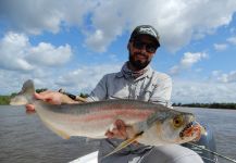  Imagen de Pesca con Mosca de Raphiodon vulpinus por Daniel Ferreyra | Fly dreamers